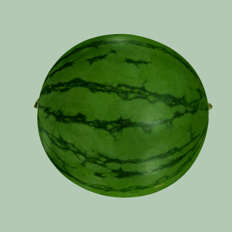 Watermelon (Photoscanned)