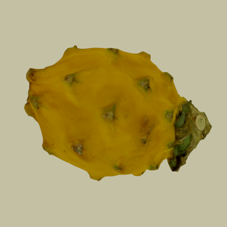 Yellow Pitaya